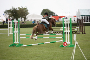 IMG_8368_resize.JPG