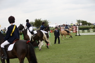 IMG_8399_resize.JPG