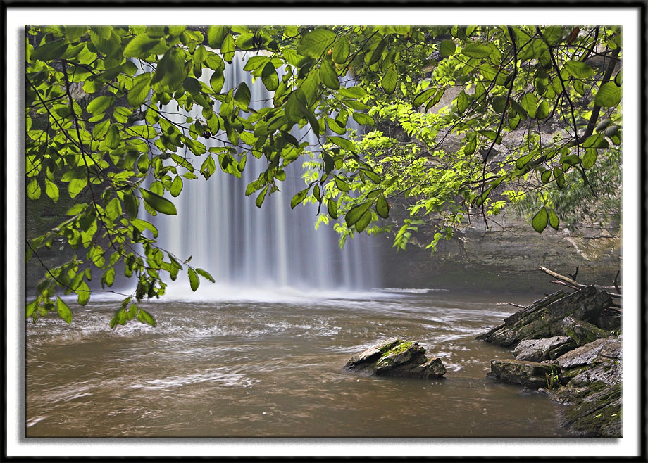 Leaf Obscured Minneopa Falls