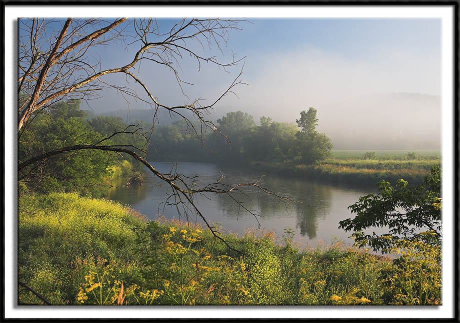 Foggy Morning On The Root River