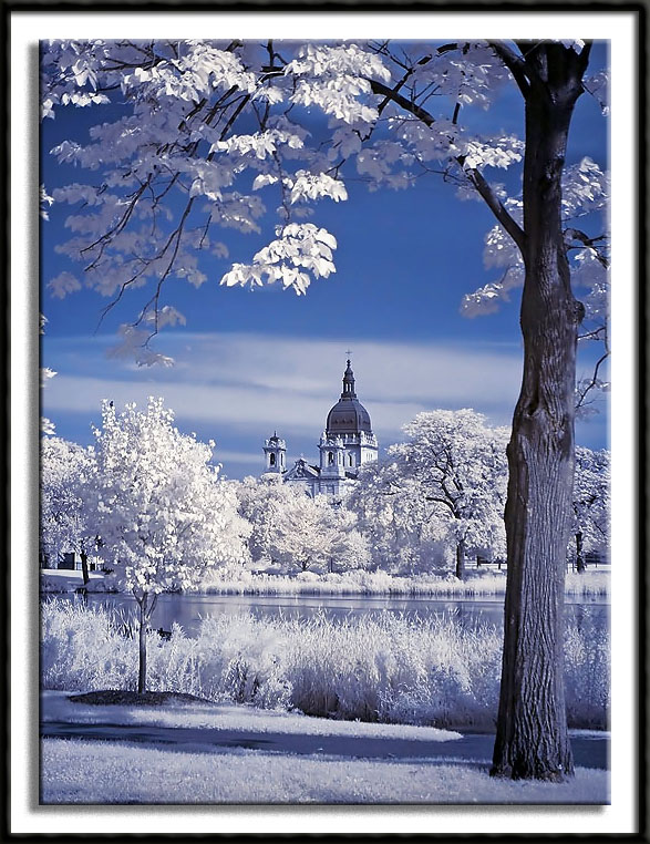 The Minneapolis Basilica