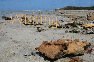 IMG_0292.gif