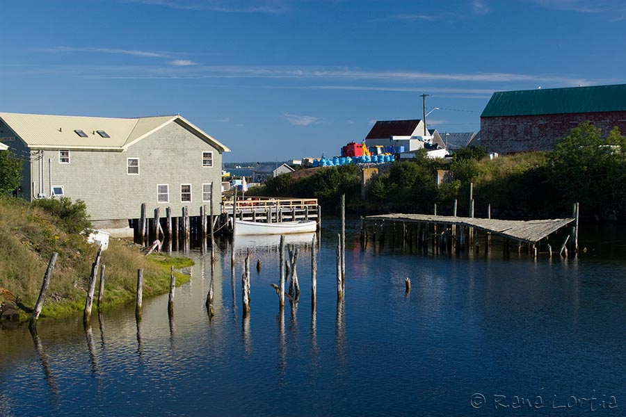 Seal Cove