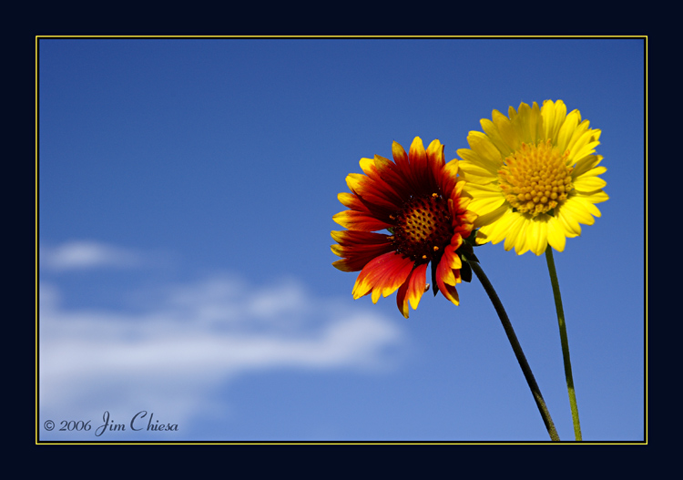 Happy colours