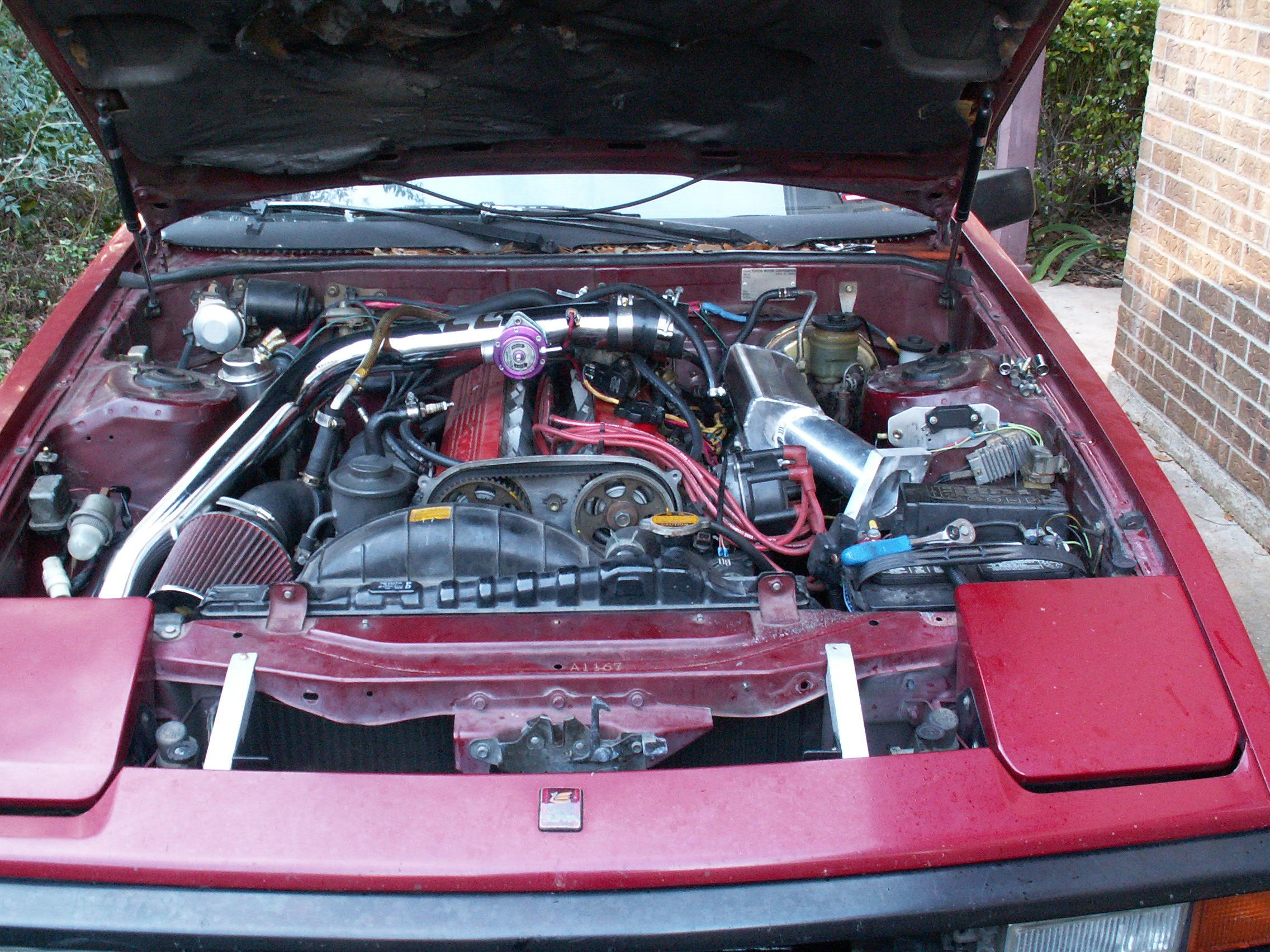 PICT0446.JPG