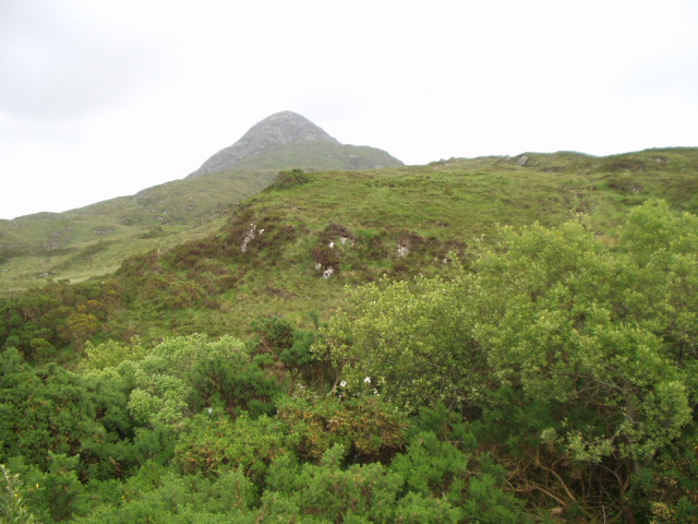 Connemara National Park