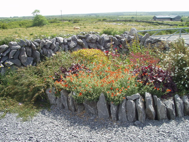Color among all the gray stone