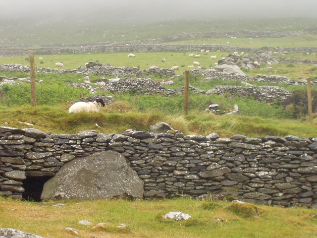 The beehive house and grounds