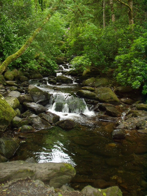 Killarney National Park