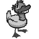 ugly_duck sm.jpg