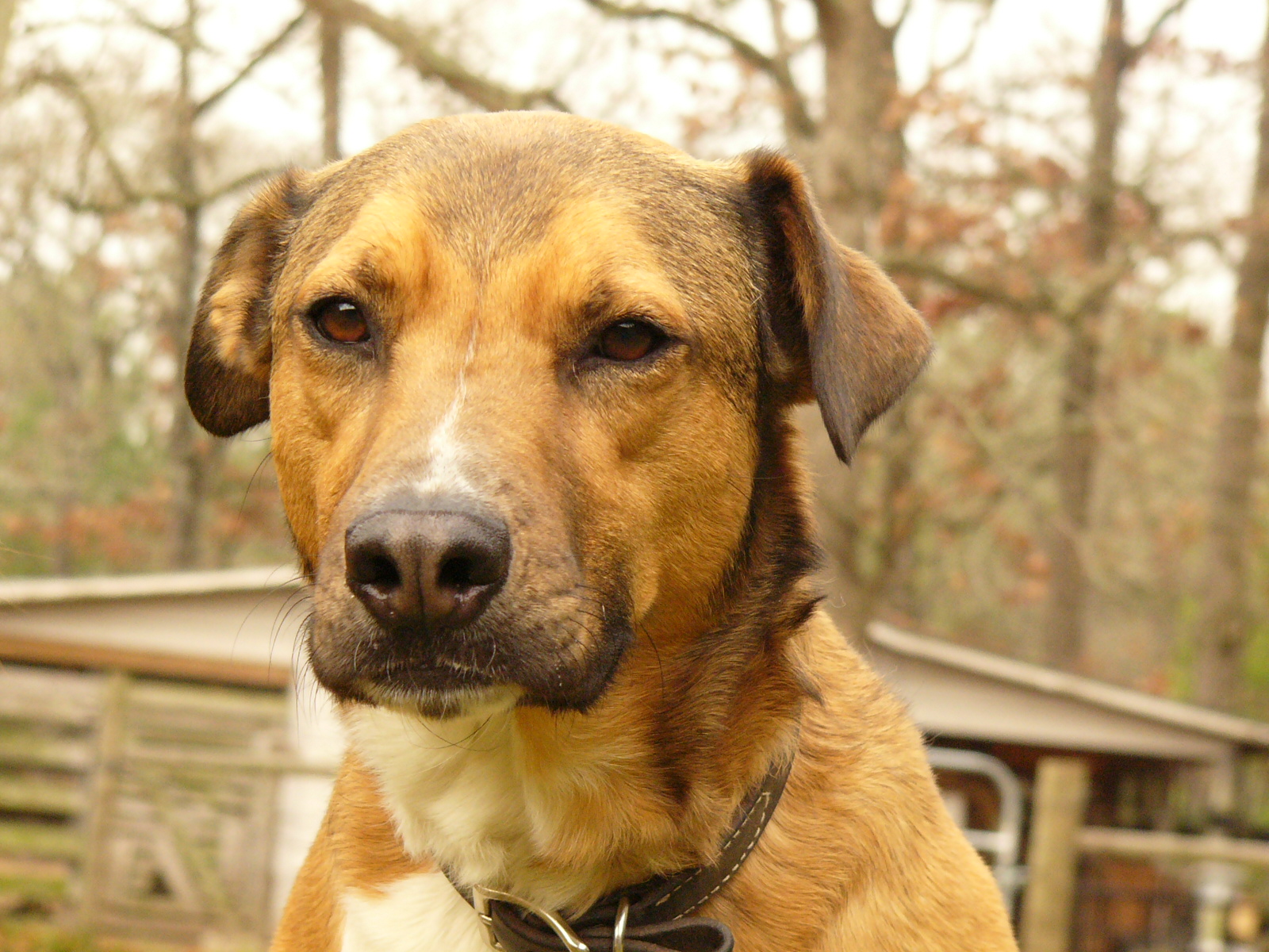 Boudreaux.JPG