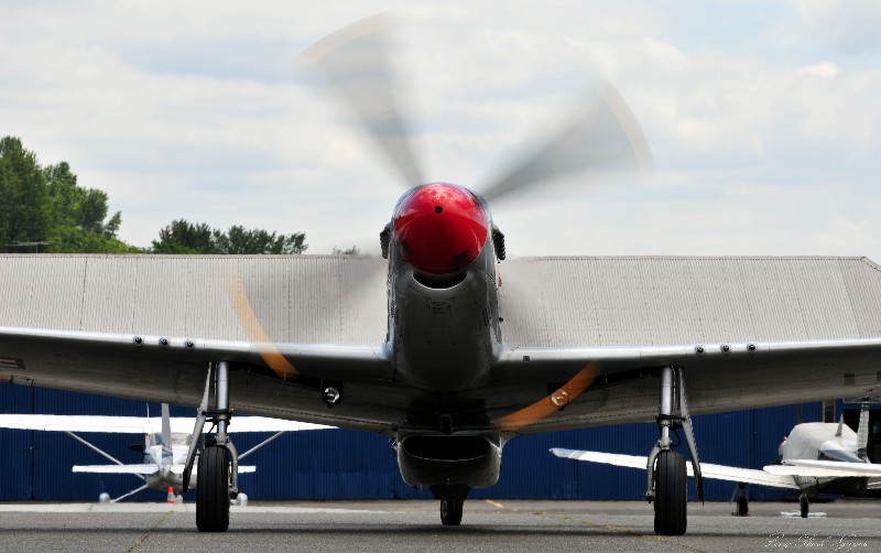 Beautiful P-51 Mustang