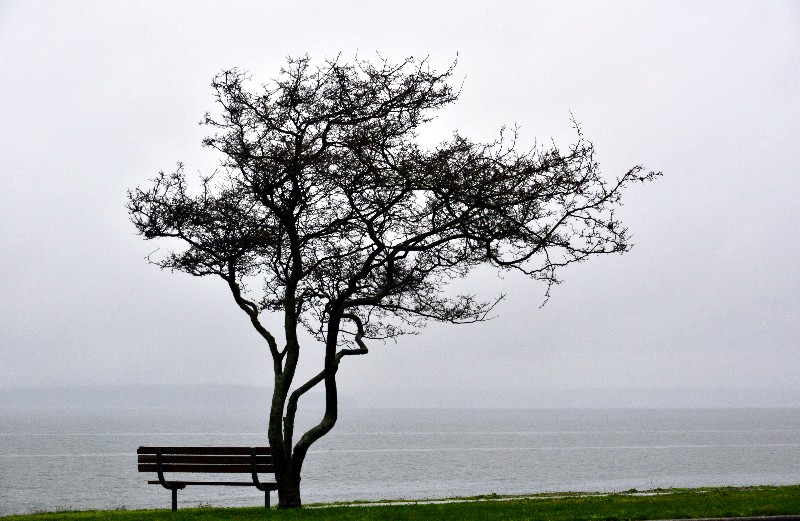 Overlooking Puget Sound, Me-Kwa-Mooks Park, Beach Dr SW, West Seattle  