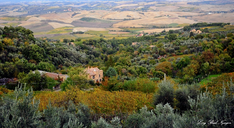 fall landscape, Montalcino, Tuscany, Italy 