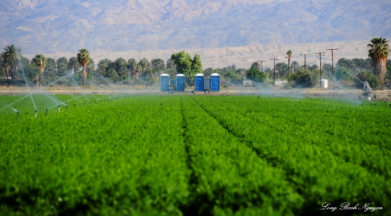 mobile toilets, Thermal, California  
