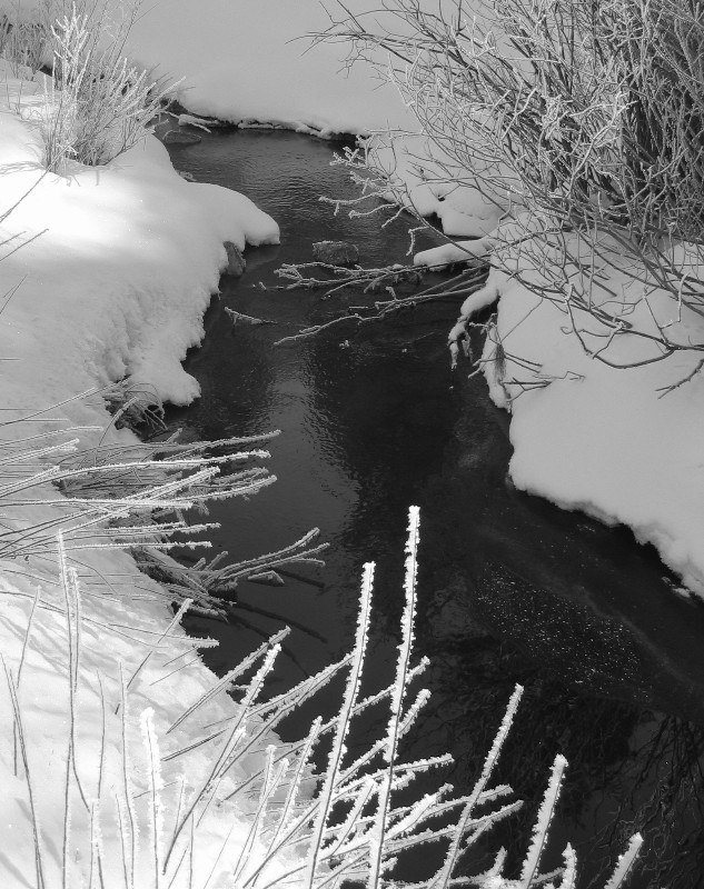 Frozen creek