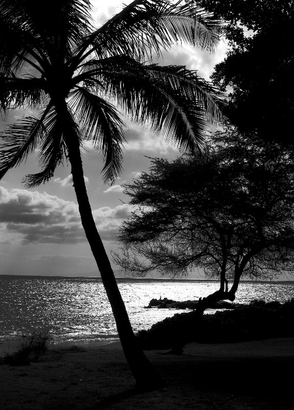 tropical sunset