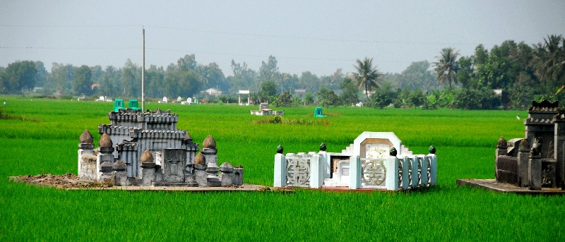 gravesites in field