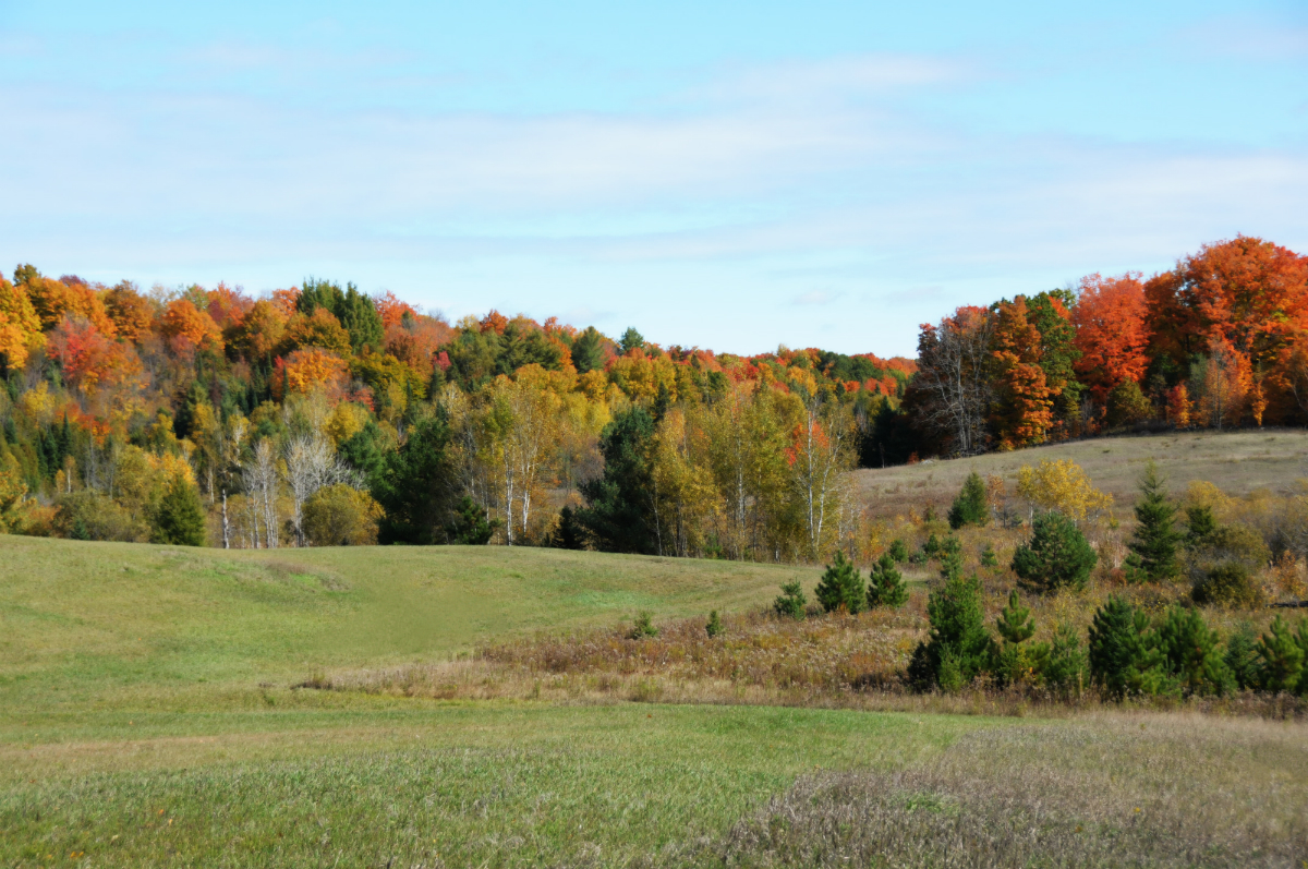 Autumn Valley