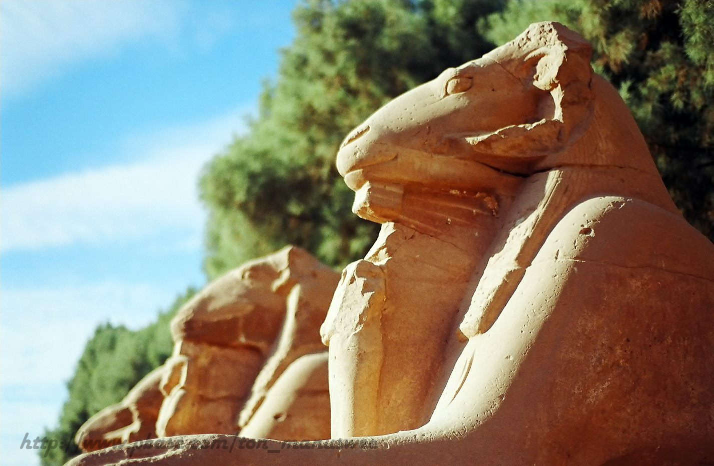 Ram-headed Sphinks; Karnak