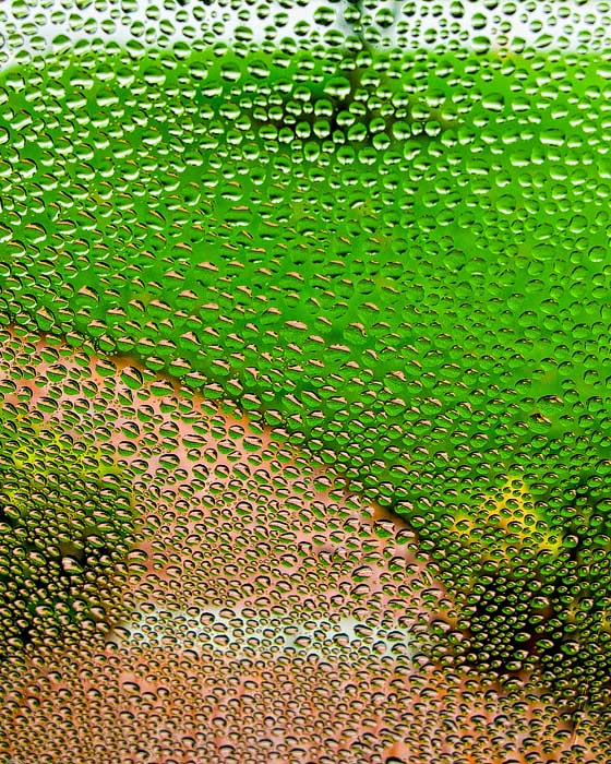 3rd<br>Condensation on the Front Door<br>by Bruce Jones