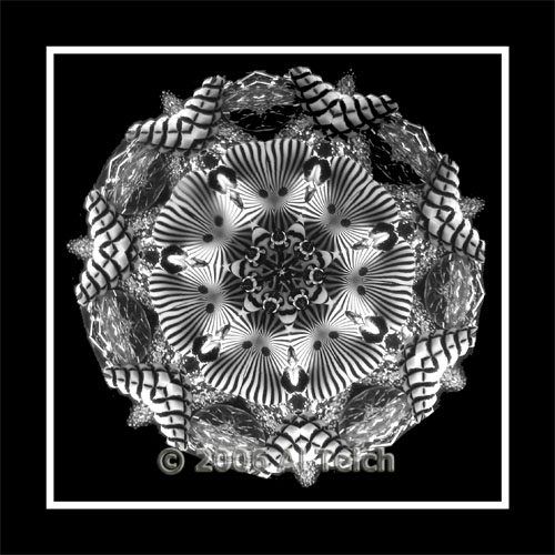 Medallion