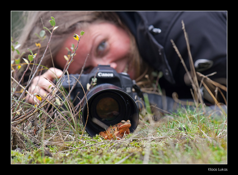 Frog in lens hood. How close can you get?