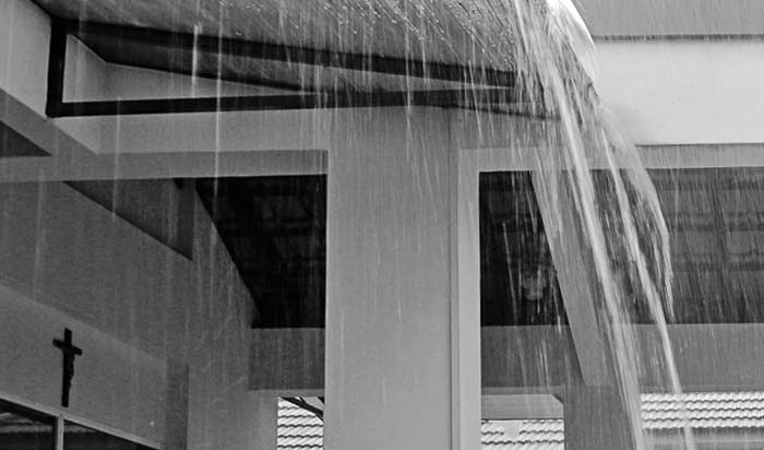 1600423_2451bw.jpg