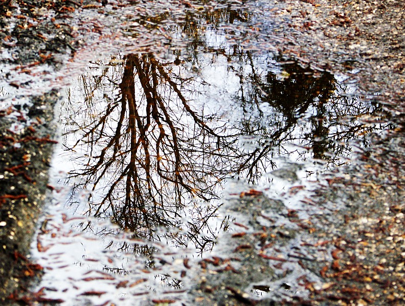 Puddles by Mike Parsons