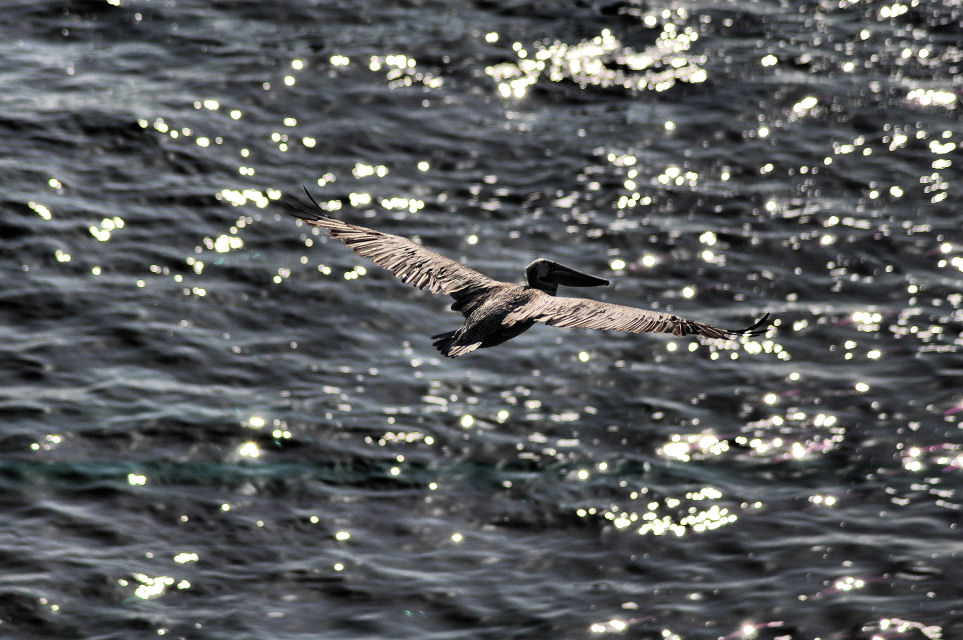 DSC_8051a.jpg