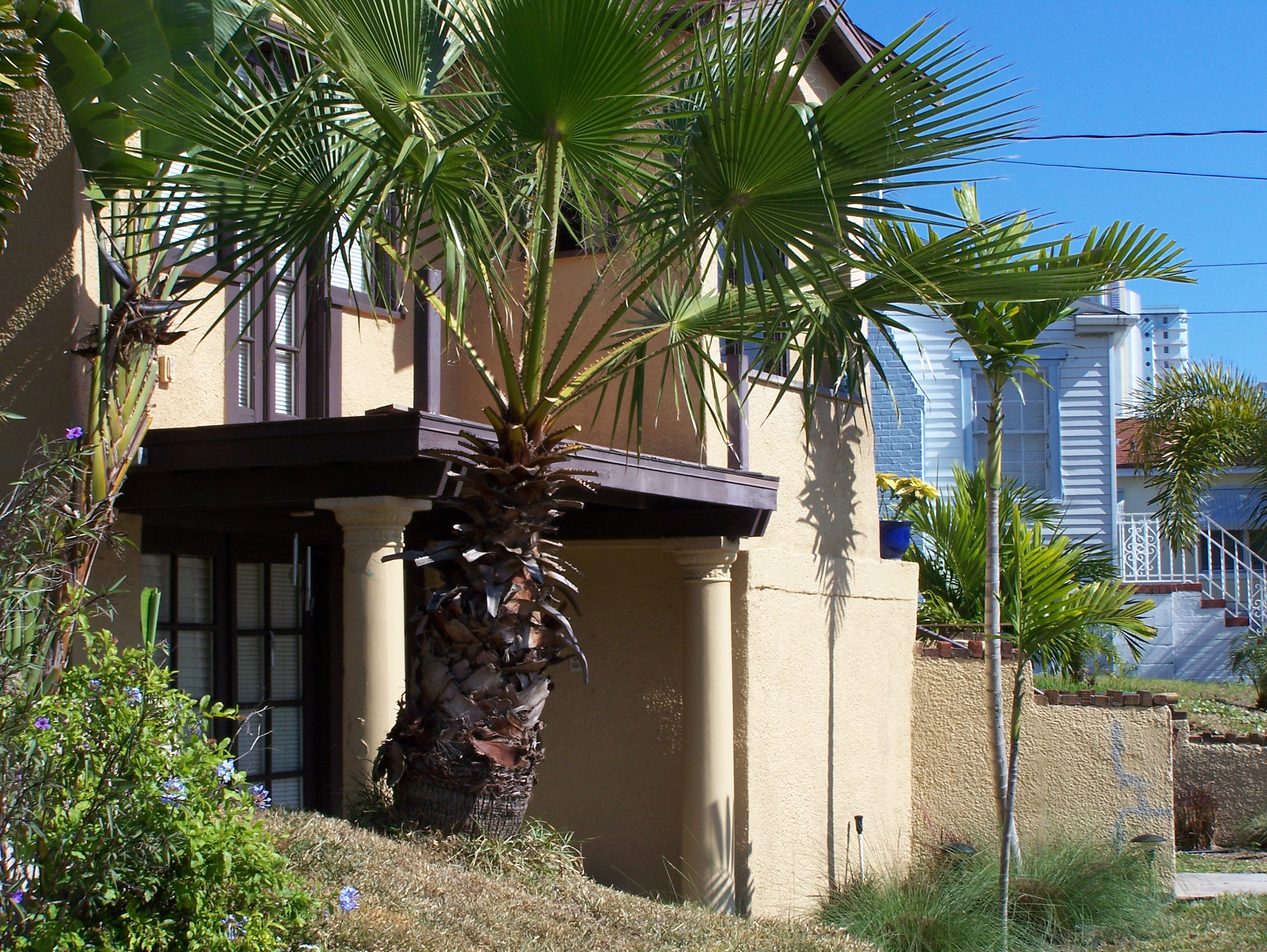 Neighborhood living, Daytona Beach