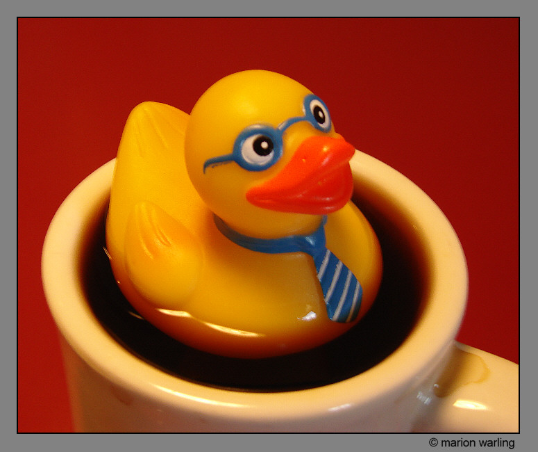 Rubber Duckie.jpg