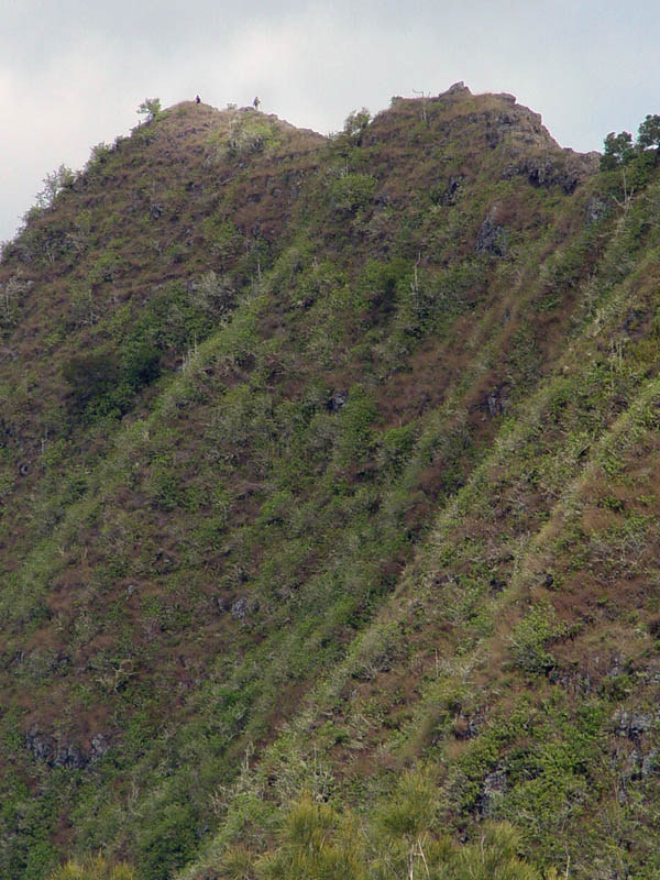 DSC08210 copy 2.jpg