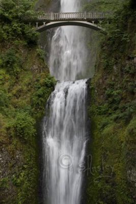 Bridge Over Multnomah Falls      MG_9716