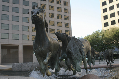 Los Colinas Mustangs Gallery