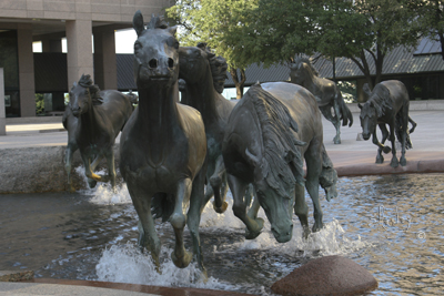 Los Colinas Mustangs    7677