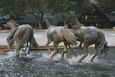 Los Colinas Mustangs  7684