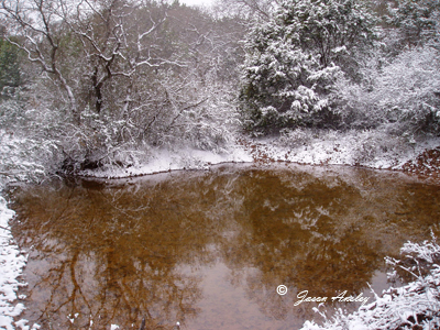 Winter 001