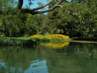 On the Water   002