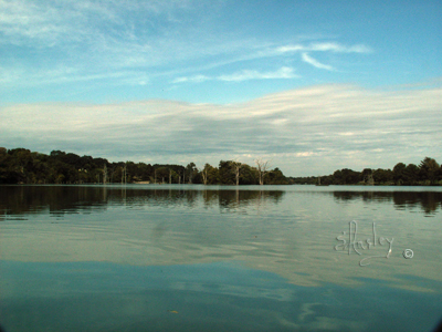 On the Water    040