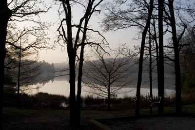 Lake Tyler      MG_6613