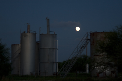 Moon Over Oil Tanks      MG_0185