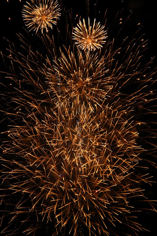 IMG_7667_1.jpg