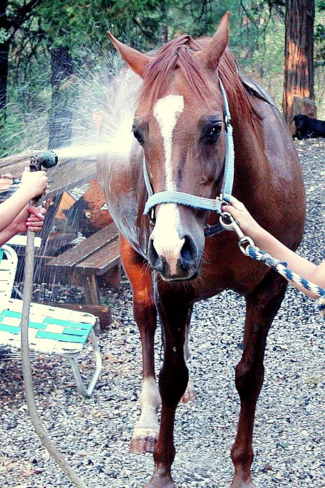 girls washing al with spray