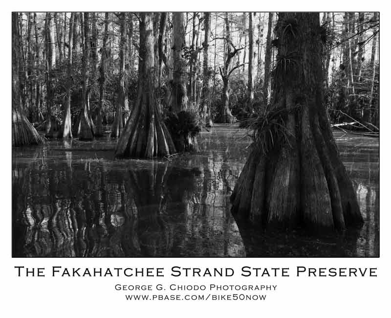 The Fakahatchee Strand State Preserve