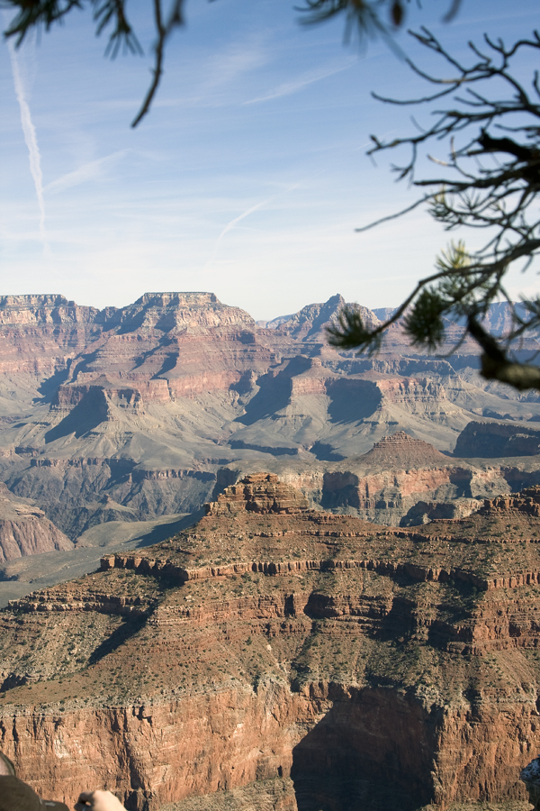 Grand Canyon with Branches