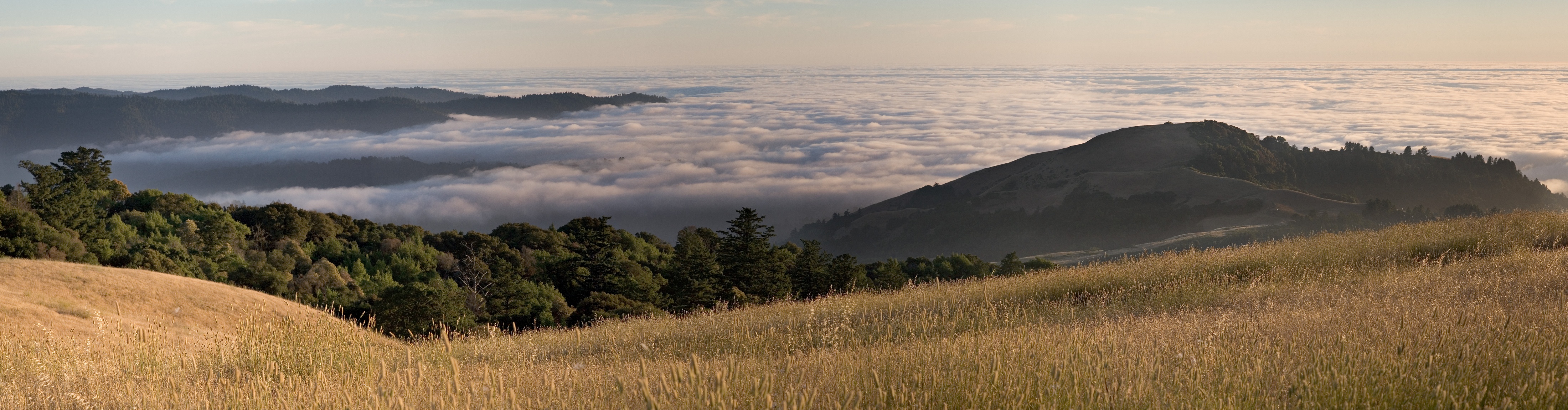 Pano of fog bank (fit1)_5632-7#2`0607092007.jpg