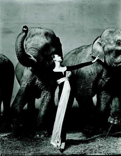 Dovima with Elephants, Evening Dress by Dior, Cirque dHiver, Paris, France, 1955