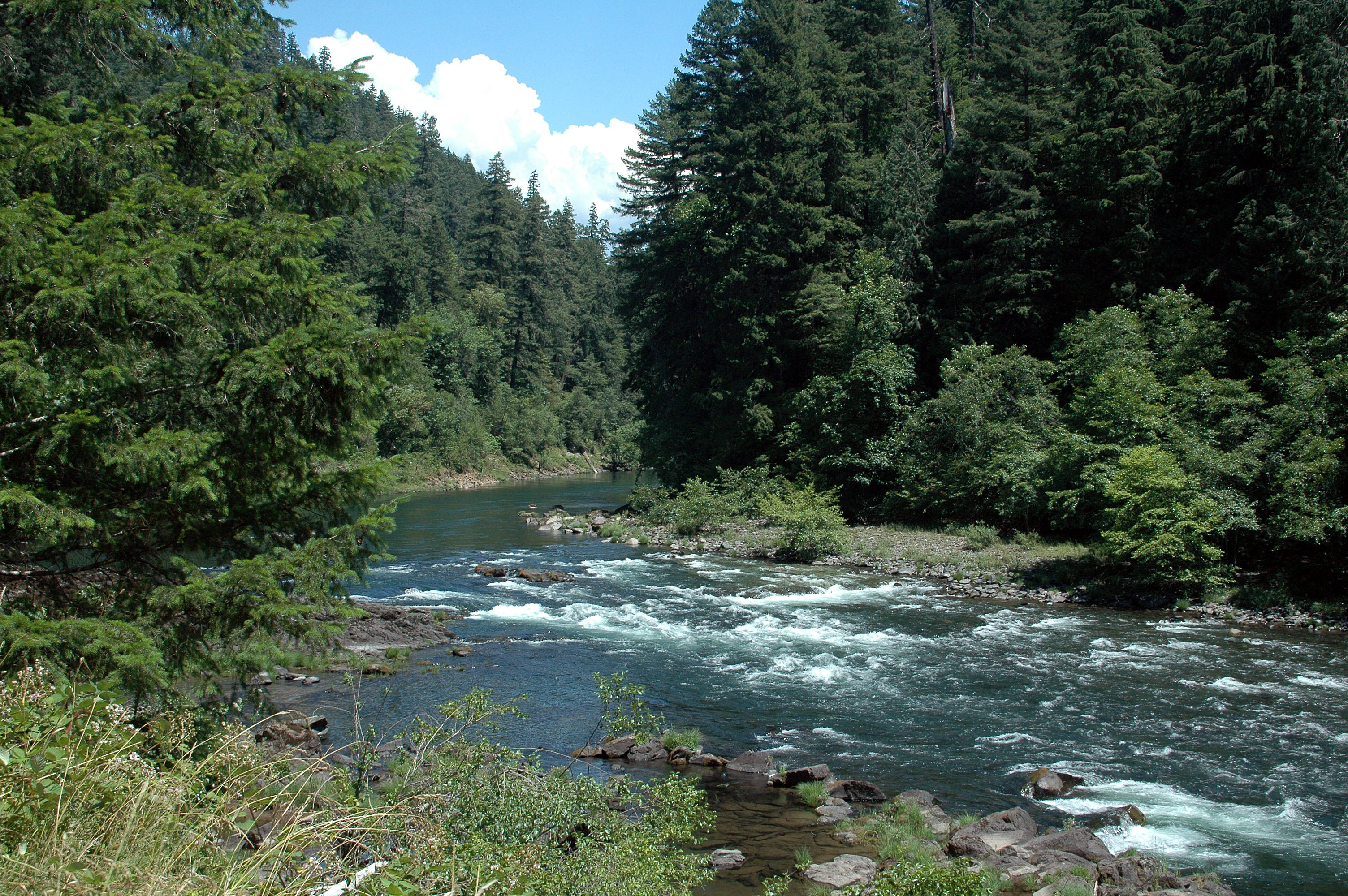 river_DSC_4535M.JPG