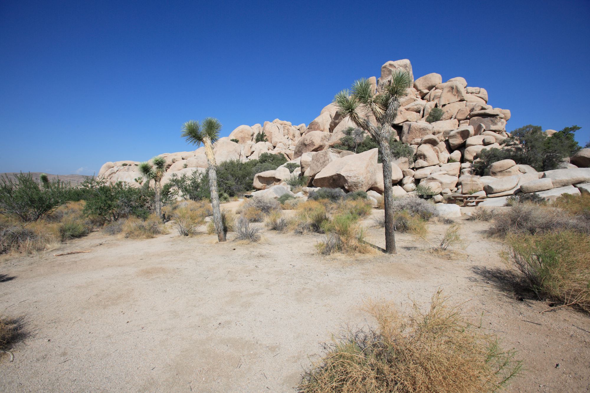 Joshua Tree National Park